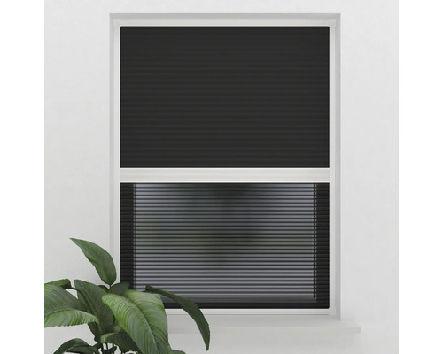 Fönster med svart plisségardin för ljusreglering