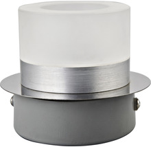 Vägglampa med frostad glasskärm och metalldetaljer