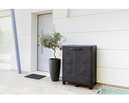 Entré med skoskåp, växt i kruka och dörrmatta