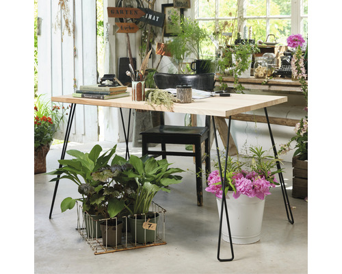 Dekorativt rum med träskrivbord och växter