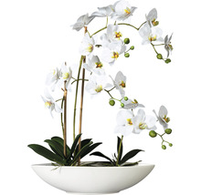 Konstväxt Orkidé Phalaenopsis ca 60cm vit