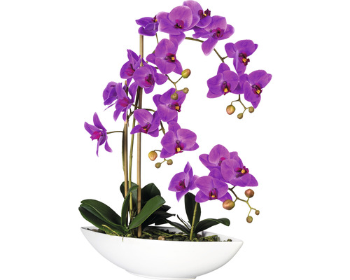 Konstväxt Orkidé Phalaenopsis ca 60cm lila