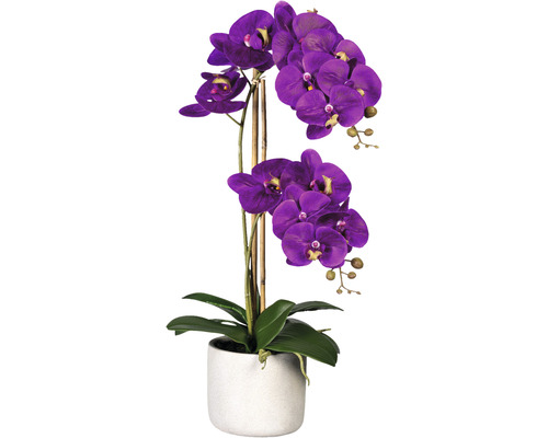 Konstväxt Orkidé Phalaenopsis ca 60cm lila