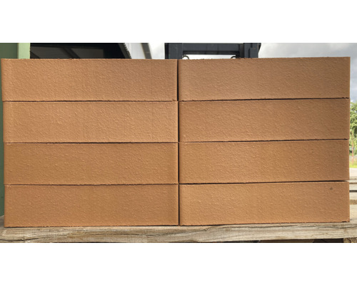 Murtegel WIENERBERGER Aseri SNF 250 x 120 x 62 mm Stapel gatstenar för trädgårds- och landskapsarkitektur