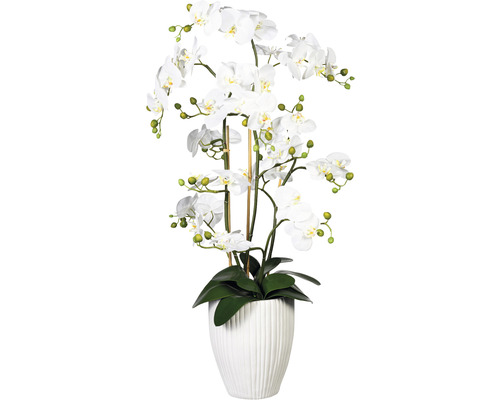 Konstväxt Orkidé Phalaenopsis ca 110cm vit