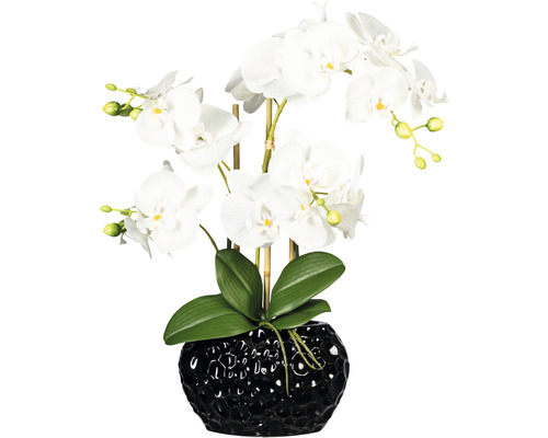 Konstväxt Orkidé Phalaenopsis ca 55cm vit