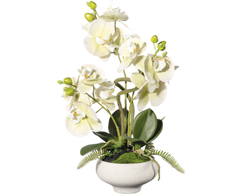 Konstväxt Orkidé Phalaenopsis ca 50cm grön