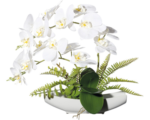 Konstväxt Orkidé Phalaenopsis ca 40 x 40cm vit