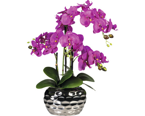 Konstväxt Orkidé Phalaenopsis ca 55cm violett