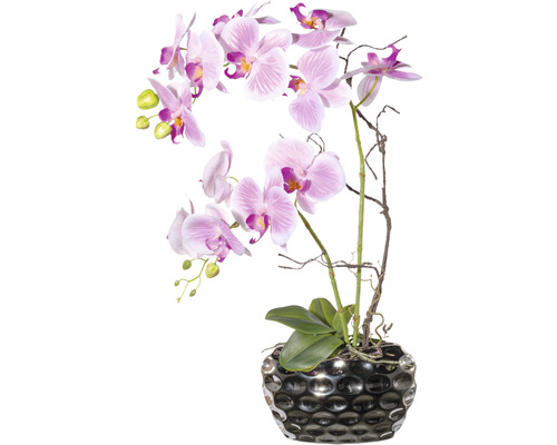Konstväxt Orkidé Phalaenopsis Arrangement ca 55cm rosa