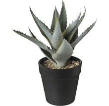 Konstväxt Aloe ca 20cm