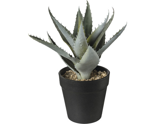 Konstväxt Aloe ca 20cm