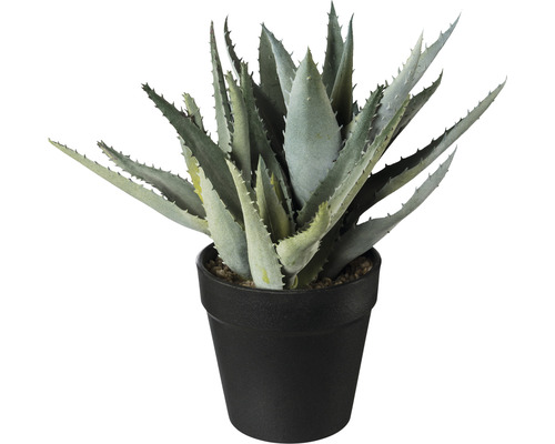 Konstväxt Aloe ca 23cm