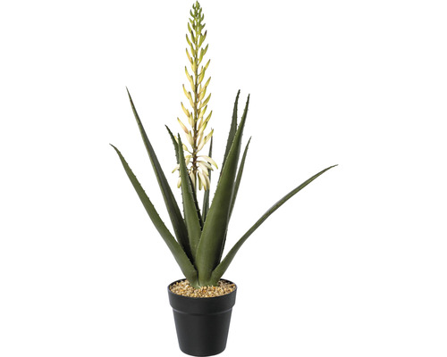 Konstväxt Aloe ca 65cm vitgrön