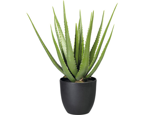 Konstväxt Aloe ca 55cm grön