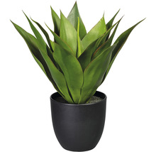 Konstväxt Agave ca 36cm grön