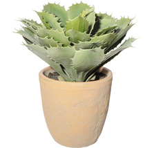 Konstväxt Echeveria ca 32cm grön