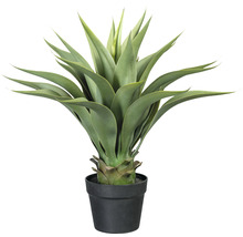 Konstgjord agave i en svart kruka