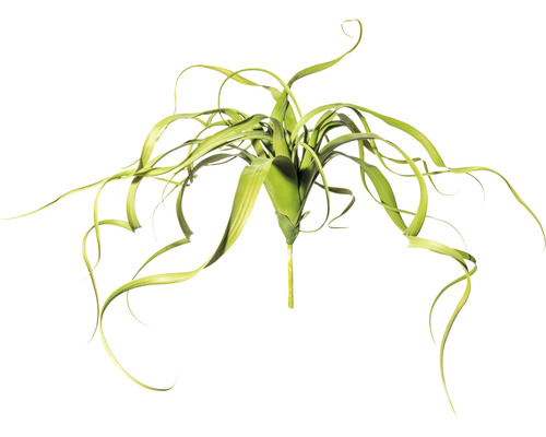 Konstväxt Tillandsia hängande ca 65cm grön