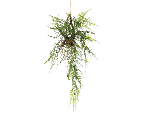 Konstväxt Hängande gren med Asparagus ca 70cm