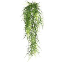 Hängande växt med fina blad