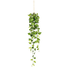 Hängande konstväxt med gröna blad
