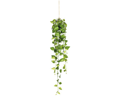 Konstväxt Philodendron hängande ca 95cm grön