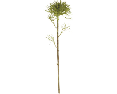 Konstgjord blomma MICA Tistel ljusgrön 48cm