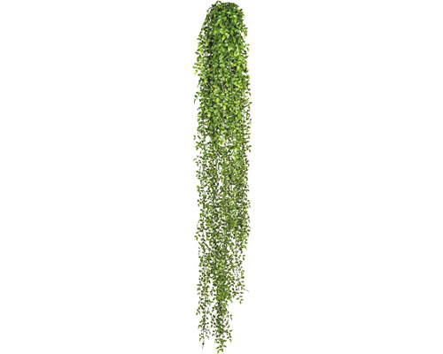 Konstväxt Ruscus hängande ca 160cm grön