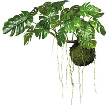 Konstgjord Monstera-växt med mossboll och hängande rankor