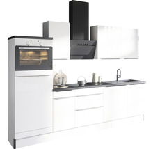 Köksinredning med inbyggnadsugn, köksfläkt och diskho