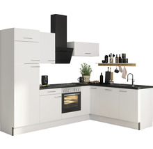 Ljust kök med diskho, spis och fläkt