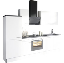 Köksdel med diskho, spis, ugn, fläkt och skåp