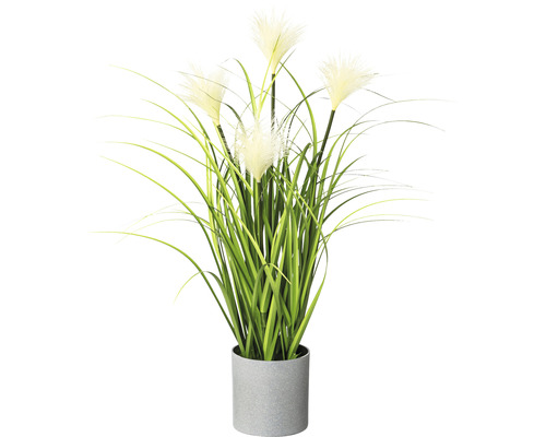 Konstväxt Carex ca 50cm