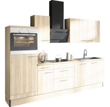 Köksdel med diskho, spishäll, fläkt och inbyggnadsugn