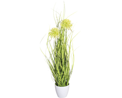 Konstväxt gräs buske Allium ca 50cm grön