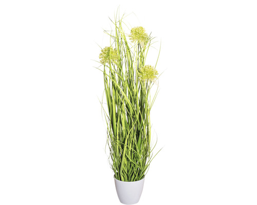 Konstväxt gräs buske Allium ca 60cm grön