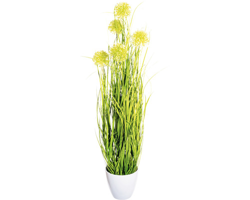 Konstväxt gräs buske Allium ca 80cm grön