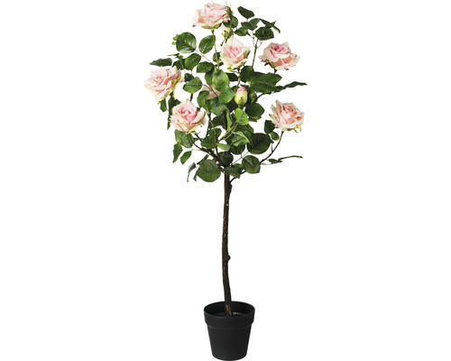 Konstväxt Rosor stam ca 95cm rosa