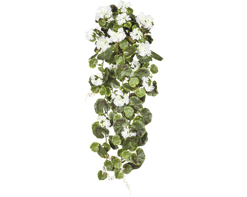Konstväxt Pelargonium Peltatum ca 80cm vit