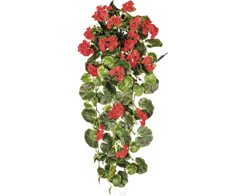 Konstväxt Pelargonium Peltatum ca 80cm röd