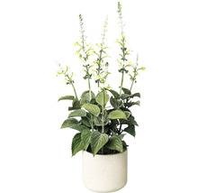 Konstväxt Salvia ca 45cm vit
