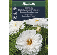 Blomsterfrö WEIBULLS Rosenskära