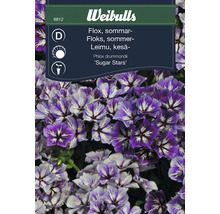 Weibulls Sommarflox Sugar Stars Frön