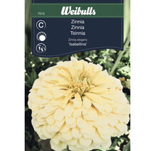 Blomsterfrö WEIBULLS Zinnia