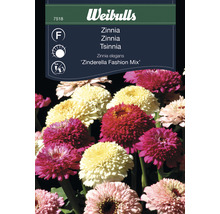 Weibulls Zinnia elegans Zinderella Fashion Mix fröförpackning