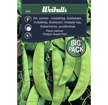 Weibulls Sockerärt Oregon Sugar Pod, storpack