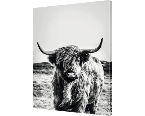 Svartvit canvastryck av en skotsk höglandsboskap