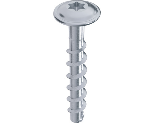 Skruvankare TOX Sumo Max 1 FK 60x40mm Linshuvudskruv med Torx-drivning
