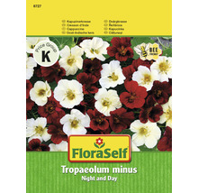 Blomfrö FLORASELF Krasse Night and Day